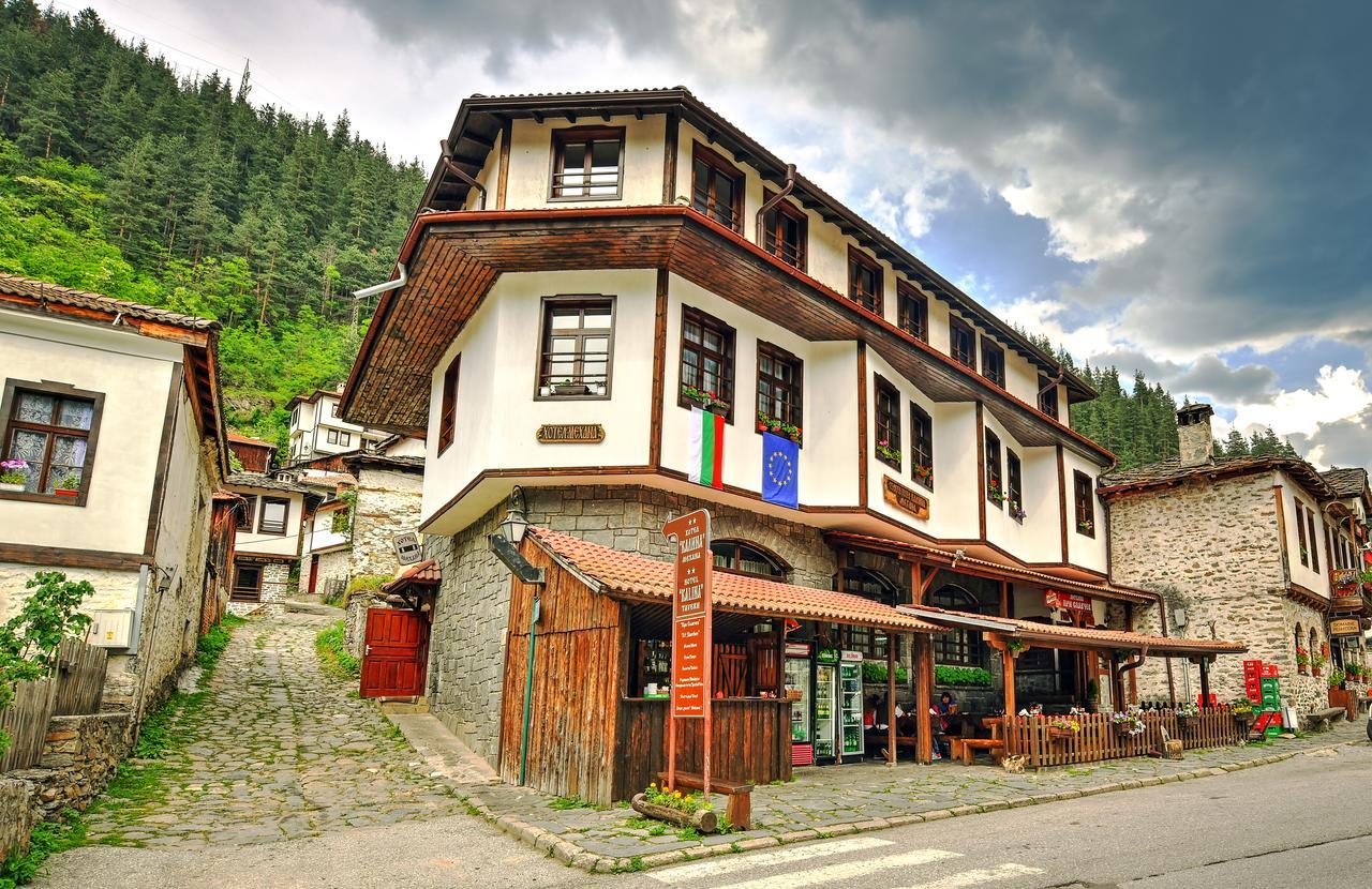 Hotel Kalina Shiroka Lŭka Buitenkant foto